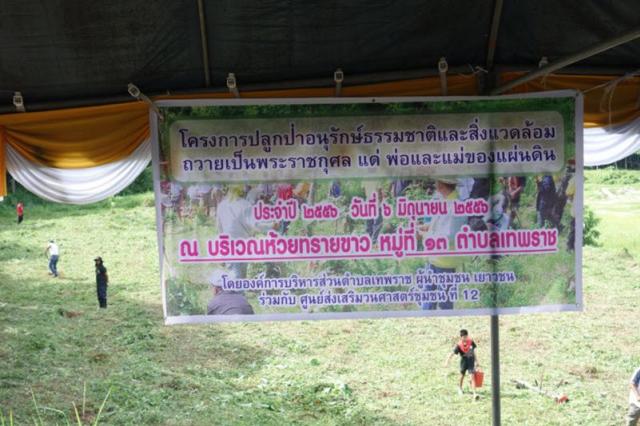 ประมวลภาพ โครงการปลูกป่าฯ